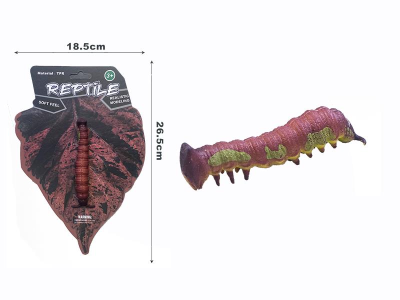 Uropyia Meticulodina Larva Model