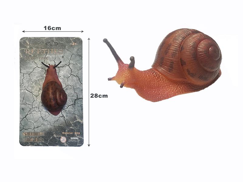 Snail Model