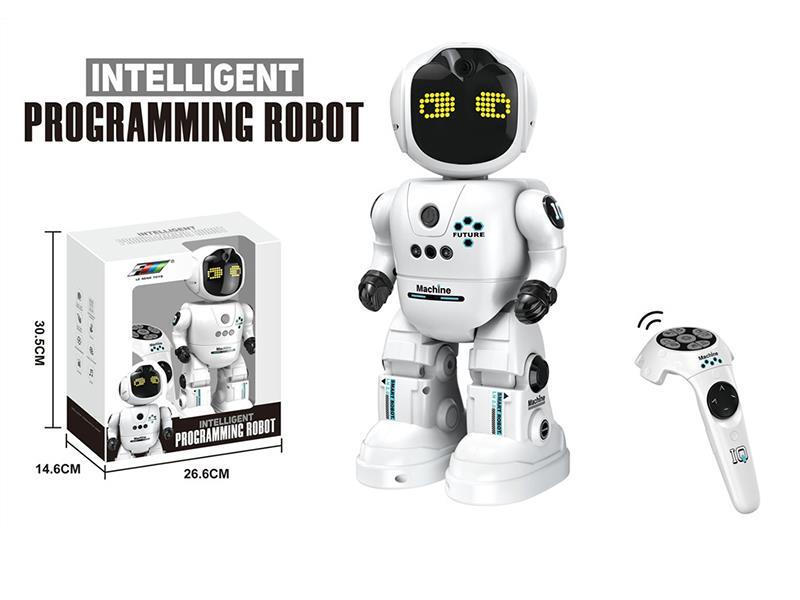 Intelligent Programming Robot