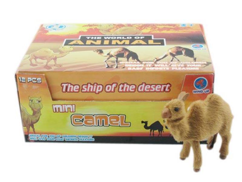 Wind Up Camel 12pcs