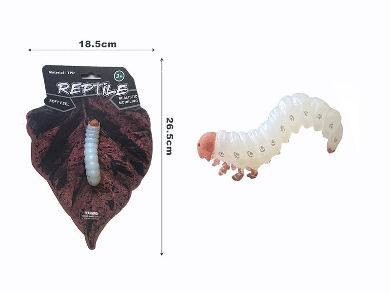 Flesh Worm Model