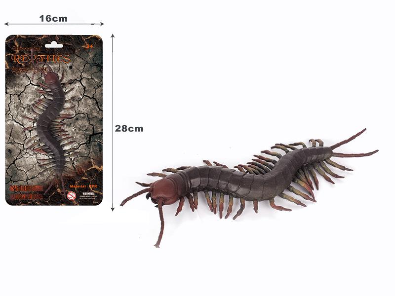 Centipede Model