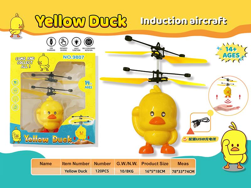 Induction Yellow Duck Aircraft