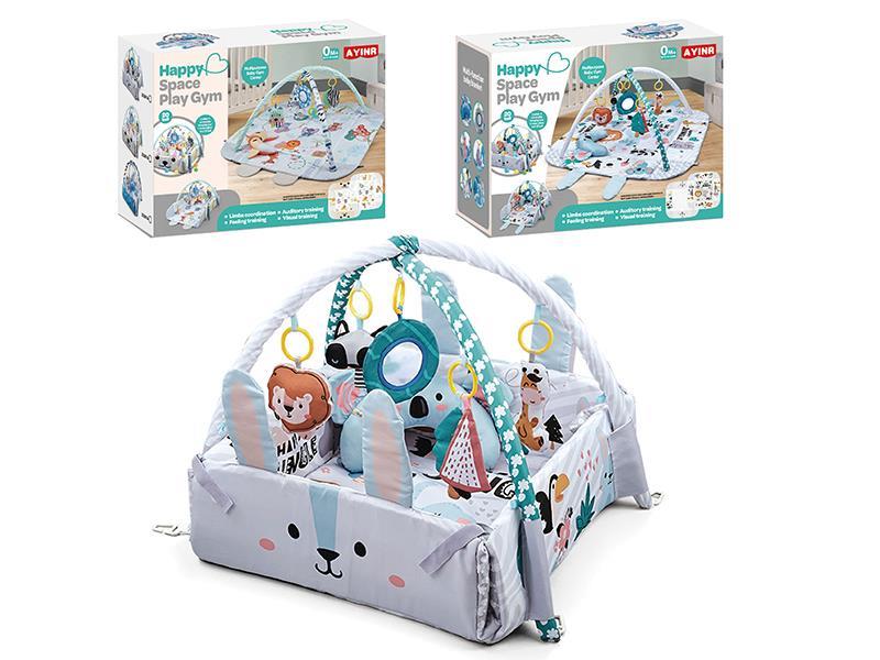 4 In 1 Baby Fitness Blanket