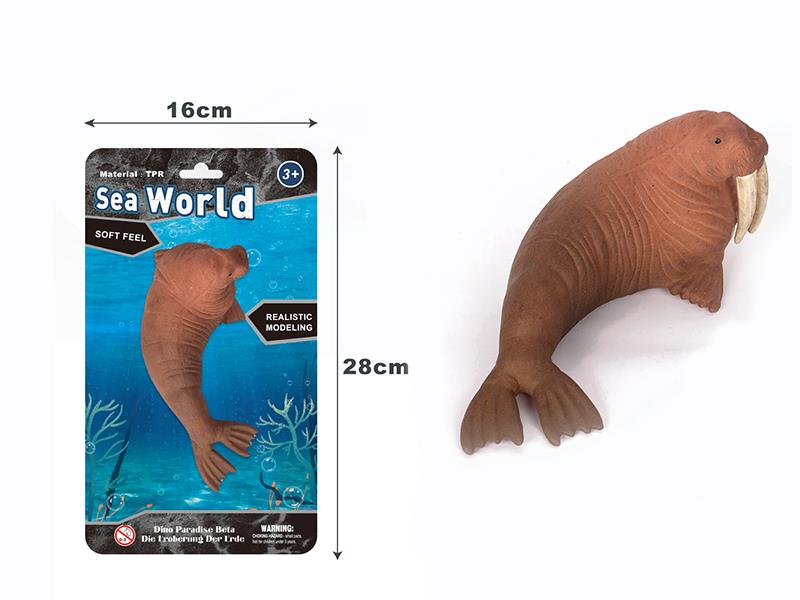 Walrus Model