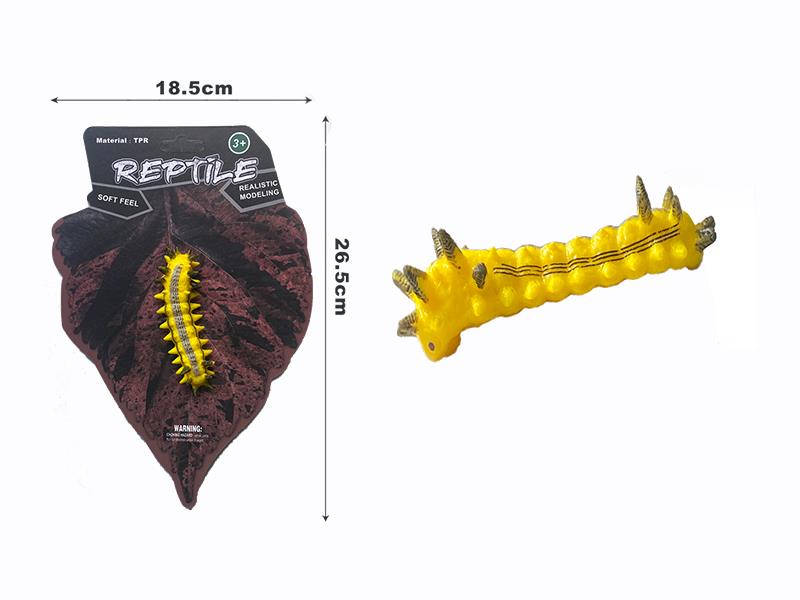 Iragoides Conjuncta Larva Model