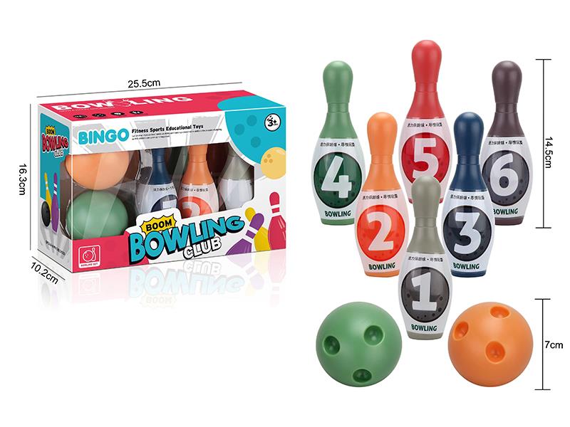 Bowling Toy