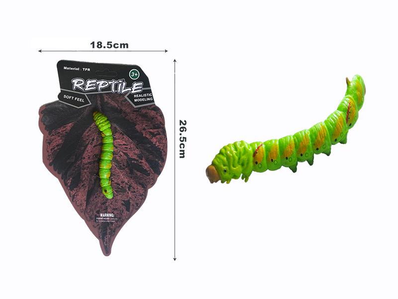 Papilio Xuthus Larva Model