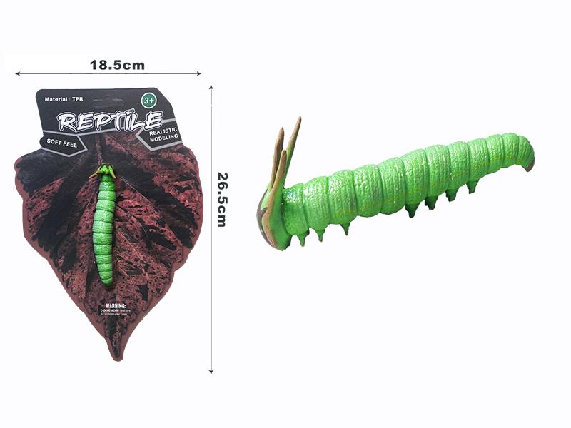 Polyura Narcaea Larva Model