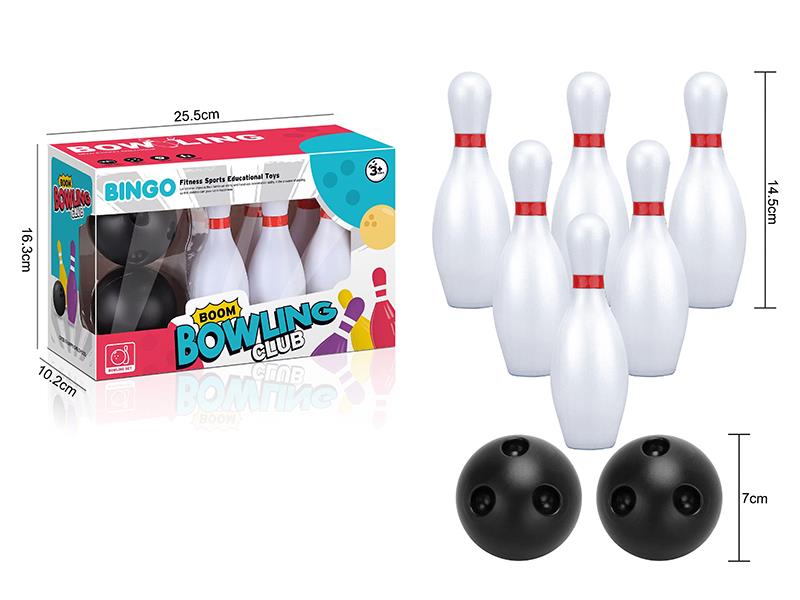 Bowling Toy