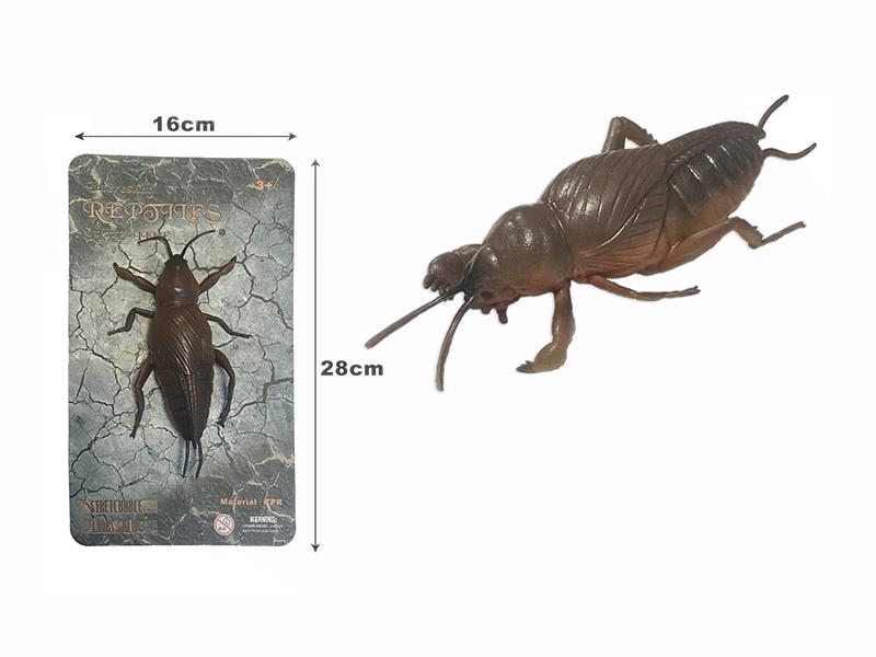 Mole Cricket Model