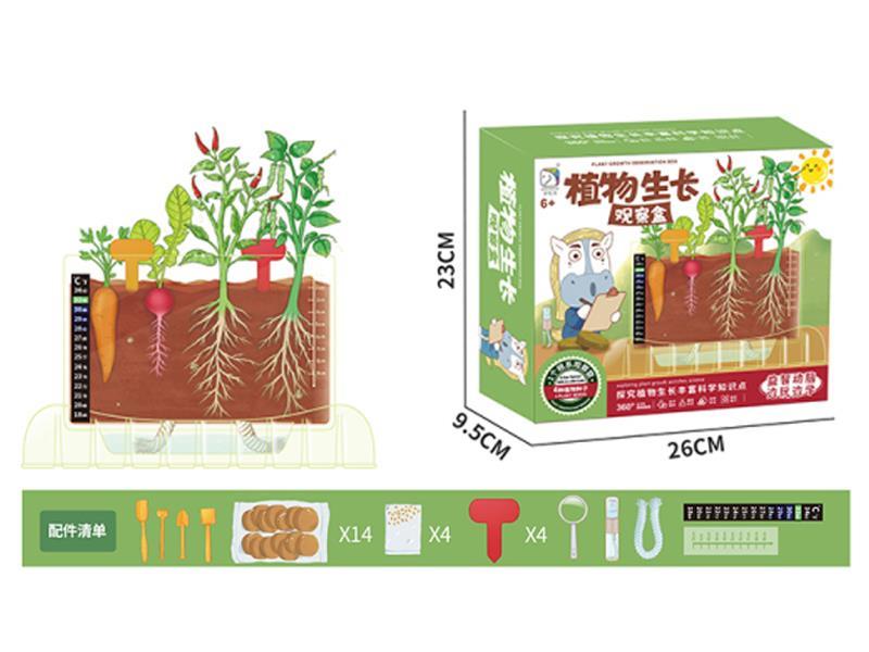 Plant Growth Observation Box