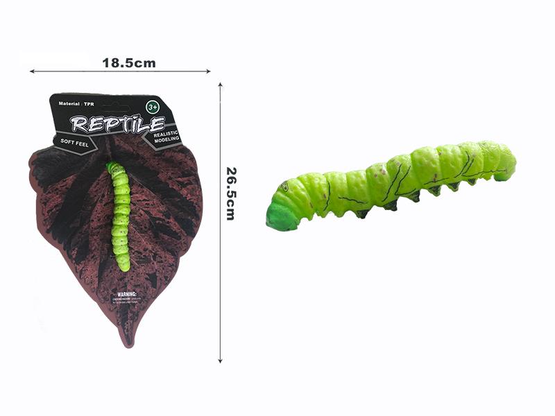 Yellow-Swallowtail Butterfly Larva Model