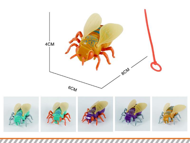 Pull Line Honeybee