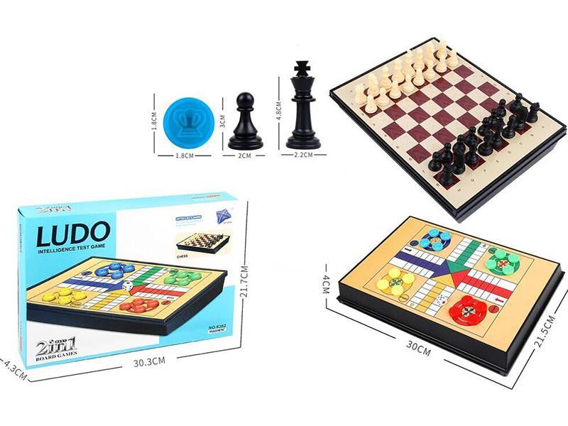 Magnetic Chess 2-In-1