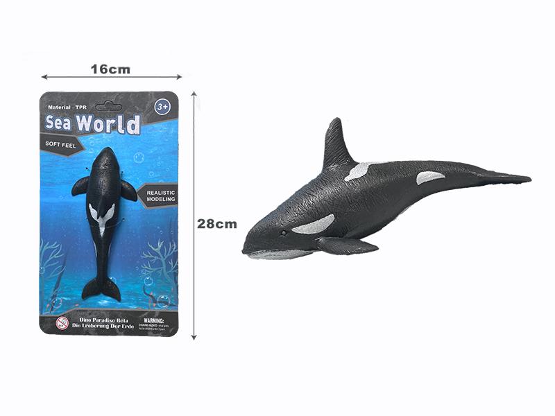 Killer Whale Model