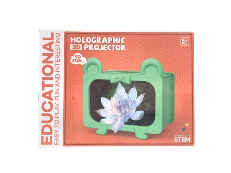 Holographic Projection