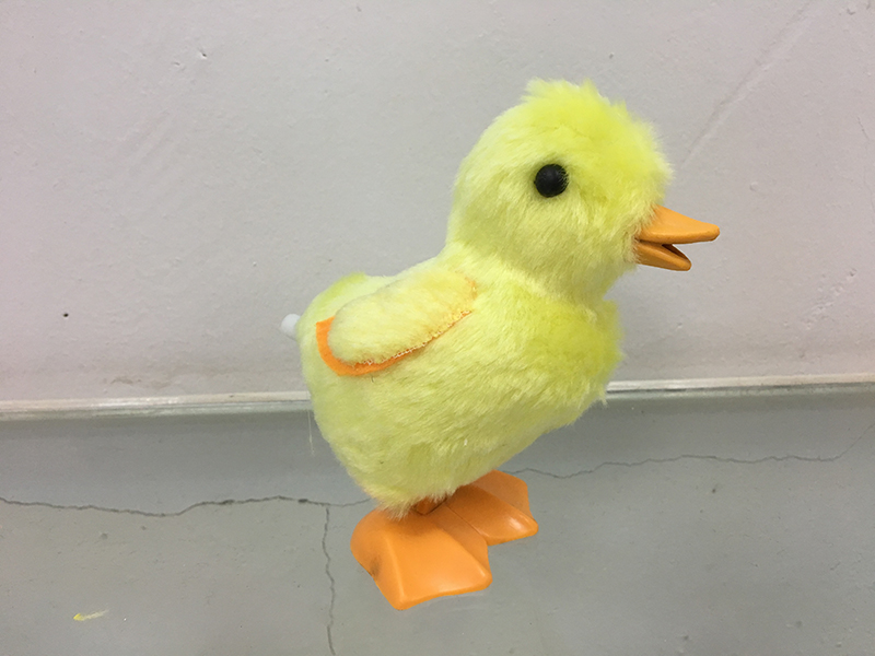 WIND UP DUCK