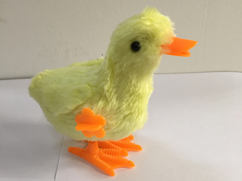 WIND UP DUCK