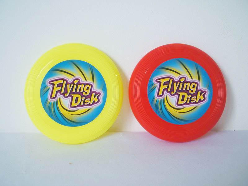 2PCS FRISBEE