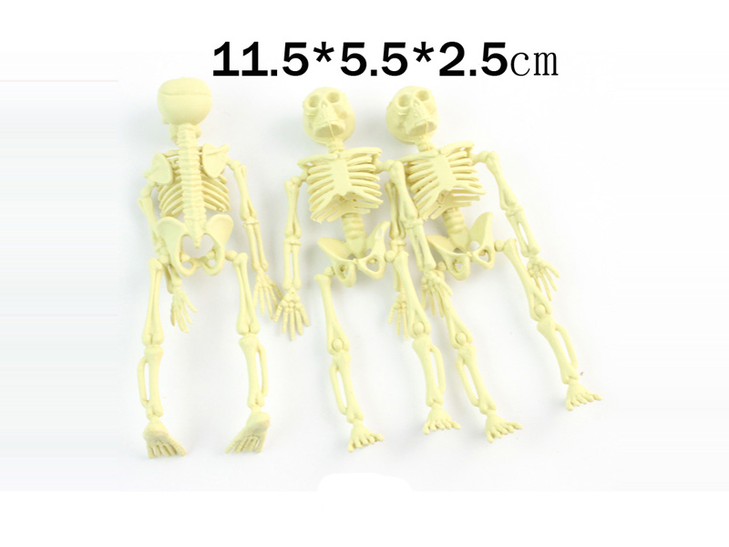 3PCS SKELETON TOYS