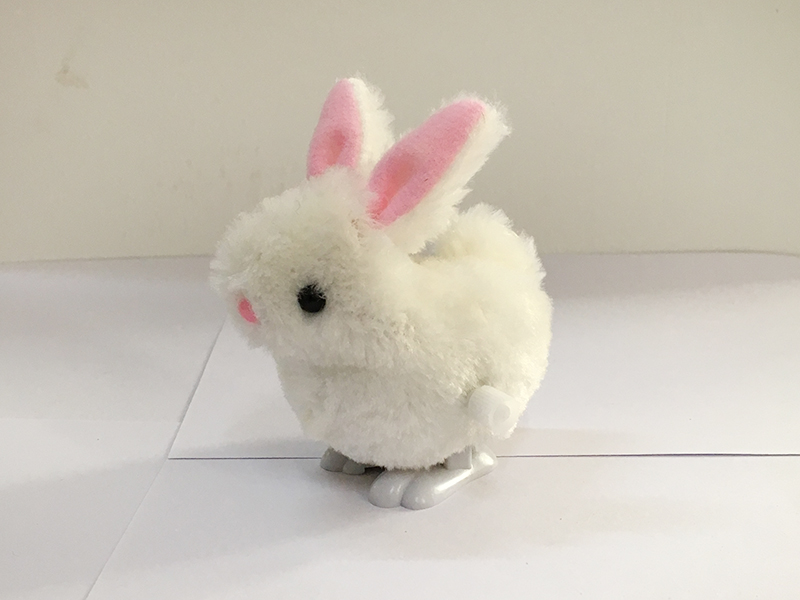 WIND UP RABBIT