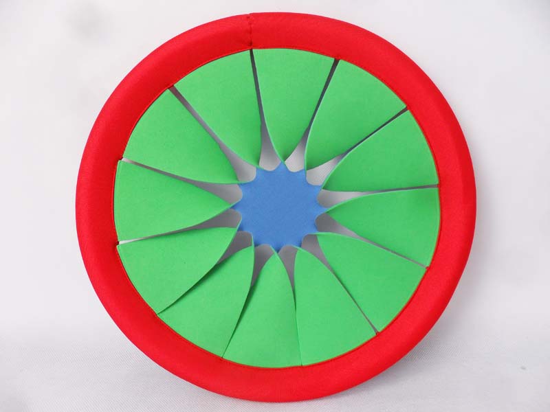 Frisbee Toy