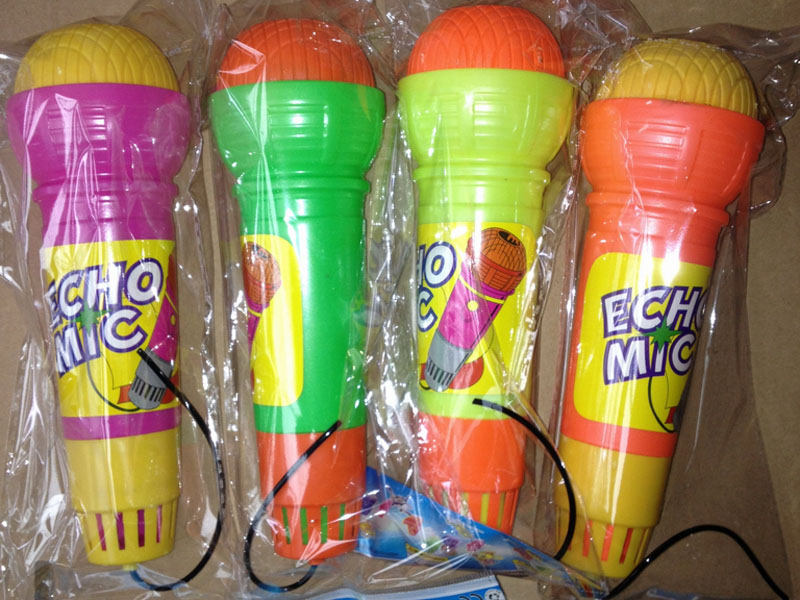 echo microphone