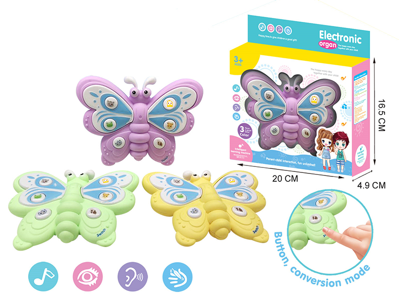 Butterfly Learning Machine