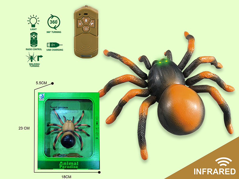 Radio Control Spider