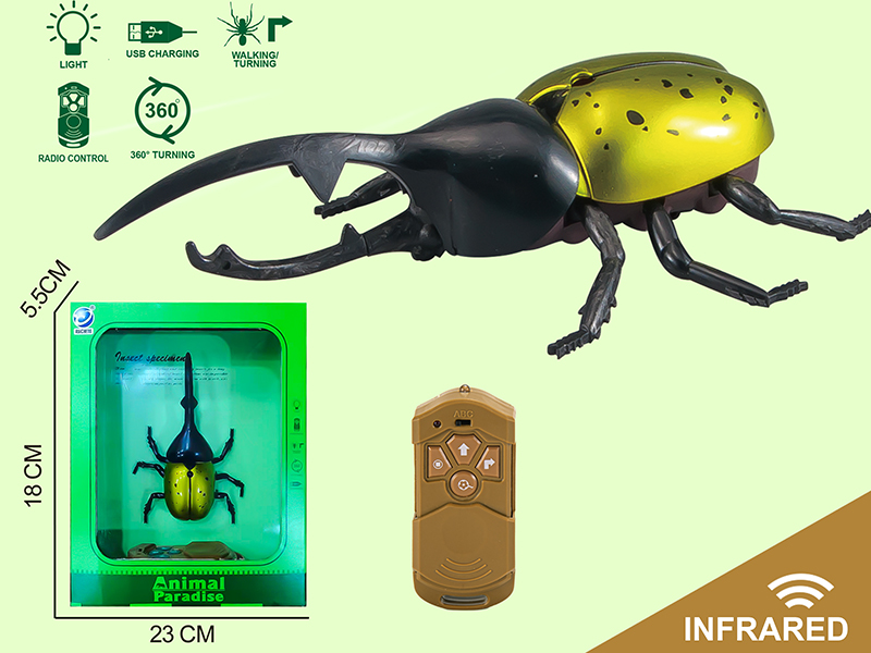 Radio Control  Beetle