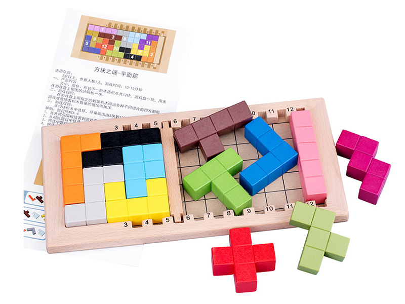 Wooden Puzzle Building Blocks