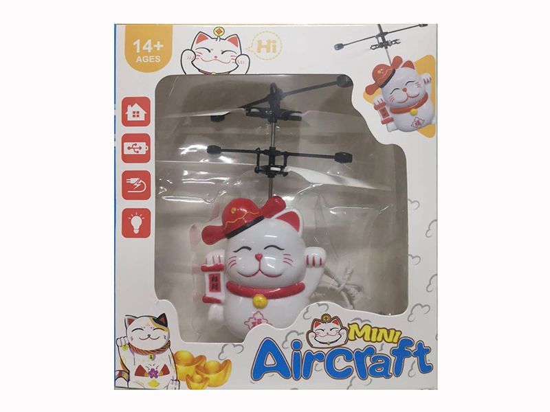 Induction Flying Fortune Cat