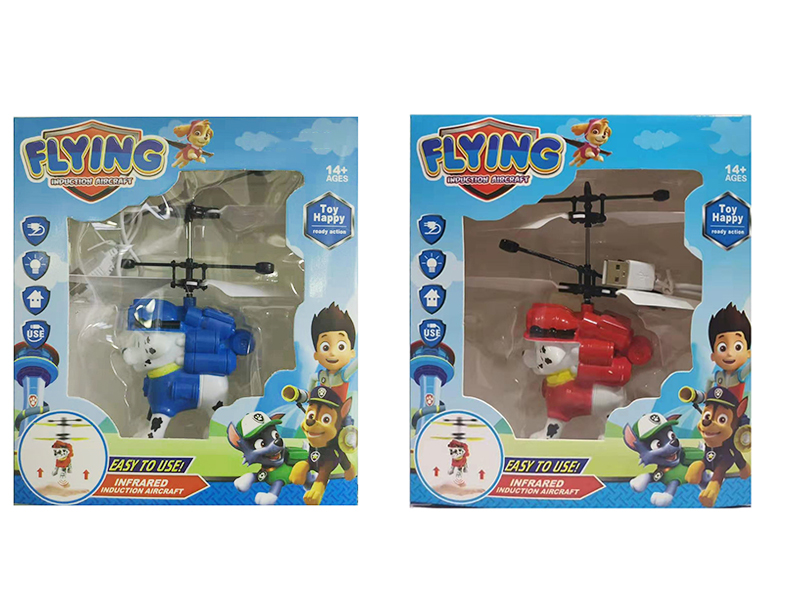 Induction Flying PAW Patrol