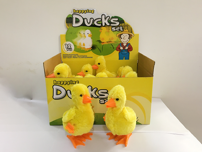 Wind Up Duck 12pcs