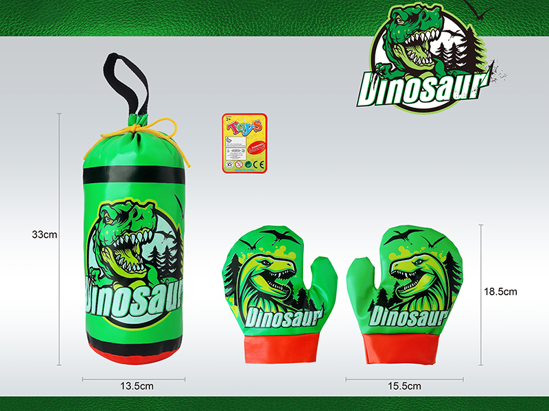 Dinosaur Boxing Set