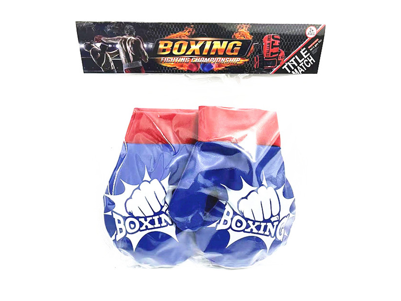 Blue Boxing Gloves