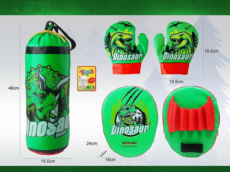 Dinosaur Boxing Set