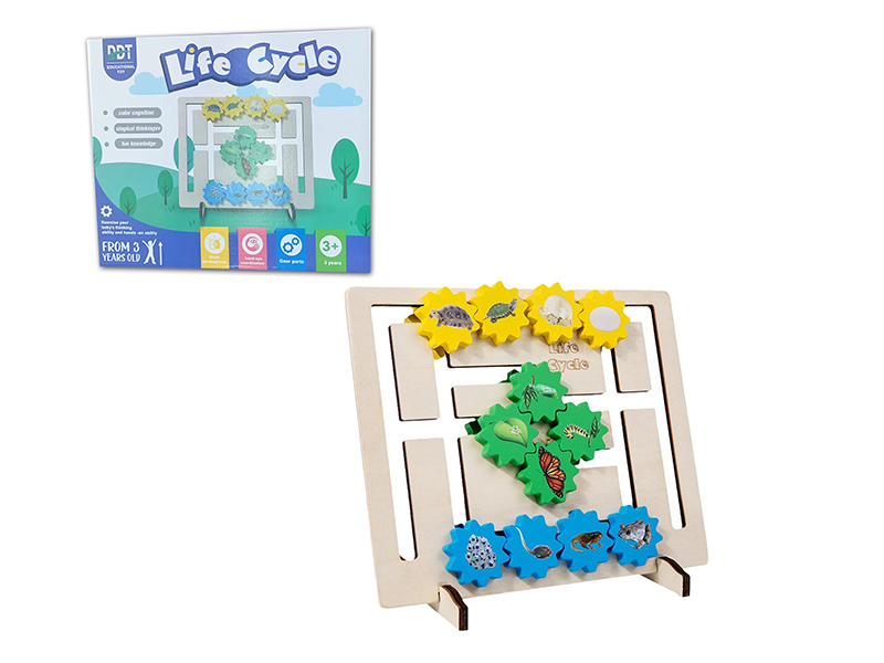 Wooden Toy Life Cycle Matching Board