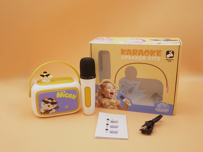 Cool Cat Karaoka Microphone Soundbox Set