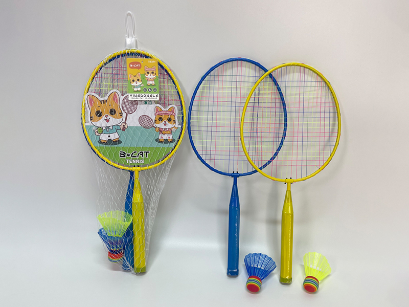 Iron Racket Badminton Racket