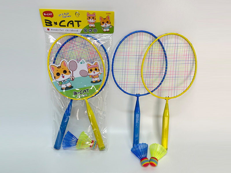 Iron Racket Badminton Racket