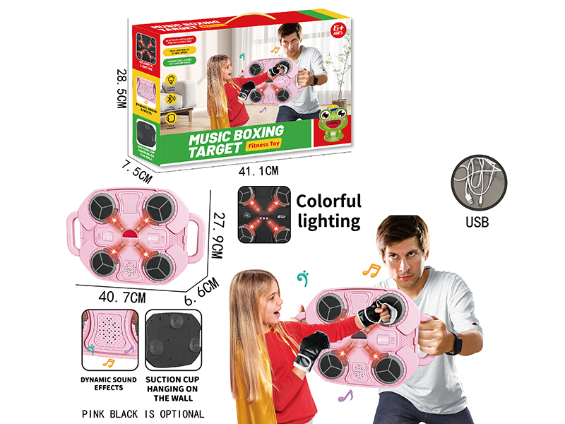 Music Boxing Target Fitness Toy